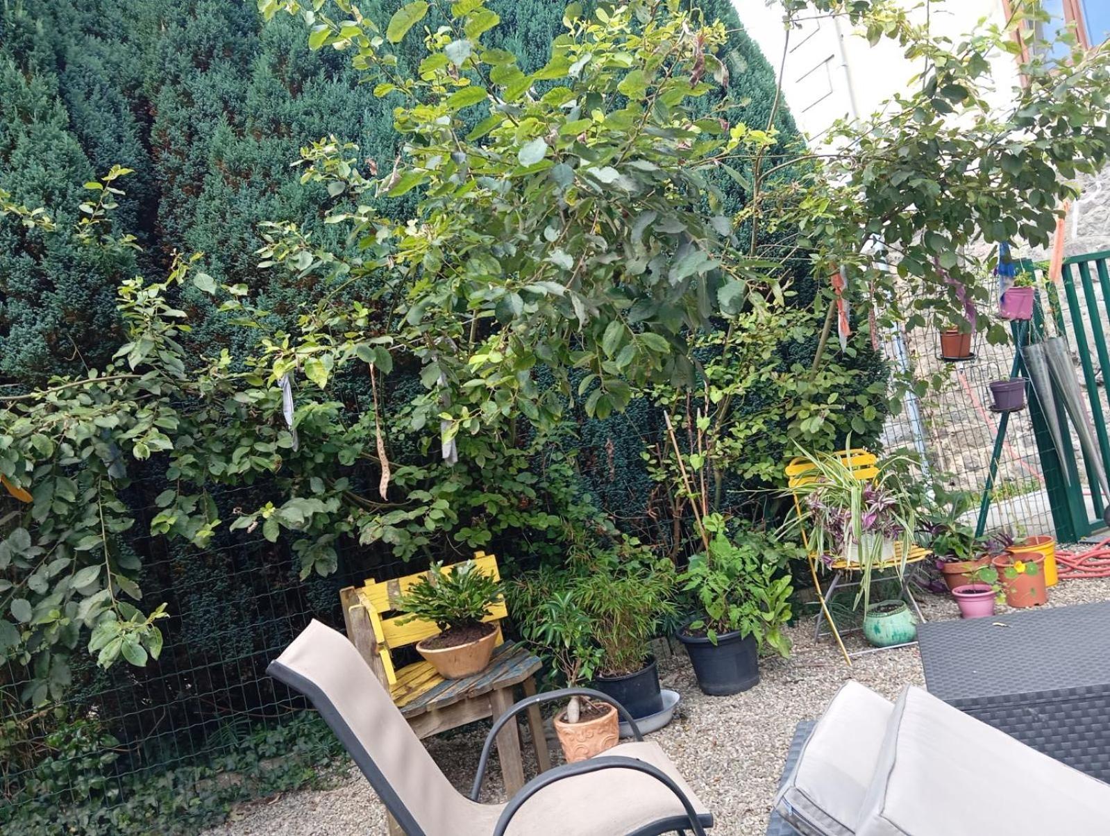 Ferienwohnung Au Pied Du Gazon Saint-Maurice-sur-Moselle Exterior foto